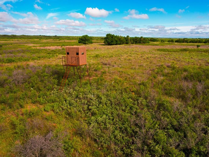 160 Acre Hunting Property Childress : Childress : Childress County : Texas