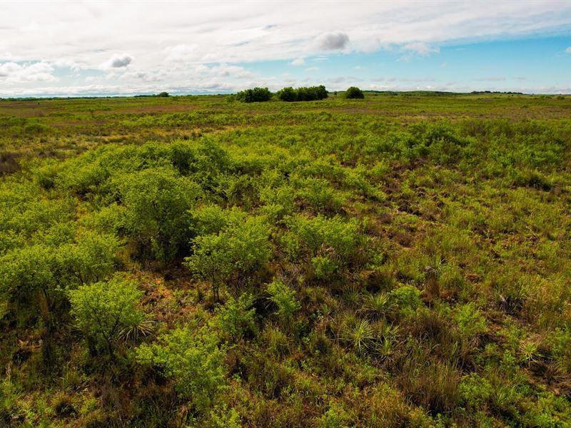 160 Acre Hunting Property Childress : Childress : Childress County : Texas
