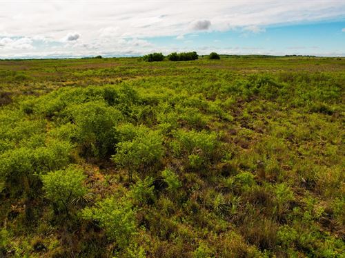 160 Acre Hunting Property Childress : Childress : Texas