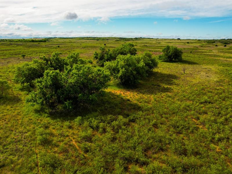 160 Acre Hunting Property Childress : Childress : Childress County : Texas