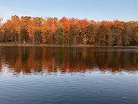Knight And Hale Farm : Cadiz : Trigg County : Kentucky