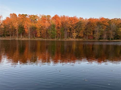 Knight And Hale Farm : Cadiz : Trigg County : Kentucky