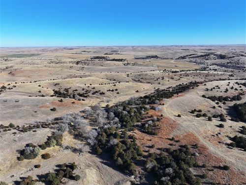 240 Acres, Valley County Grass : Arcadia : Valley County : Nebraska
