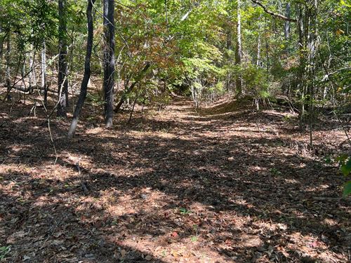 15 Wooded Acres With Homesite : Centreville : Bibb County : Alabama