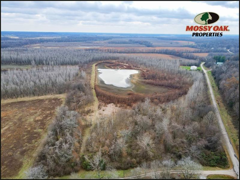 47 Acres of Great Deer and Wate : Marshall : Clark County : Illinois