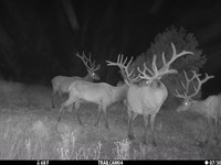 Oso Creek Ranch : Ramah : Cibola County : New Mexico