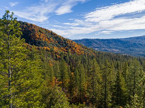 Casa Madera Estates : Twain Harte : Tuolumne County : California