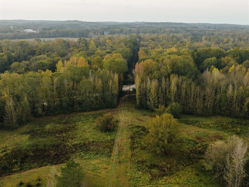 119.25 Acres in Hinds County, MS : Utica : Hinds County : Mississippi