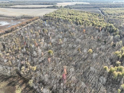Quitman County, Ms, Bland Road 91 : Lambert : Quitman County : Mississippi