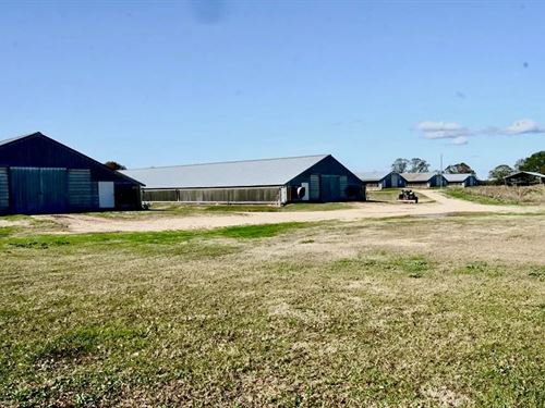 MS Poultry Farm With 38 Acres : Tylertown : Walthall County : Mississippi