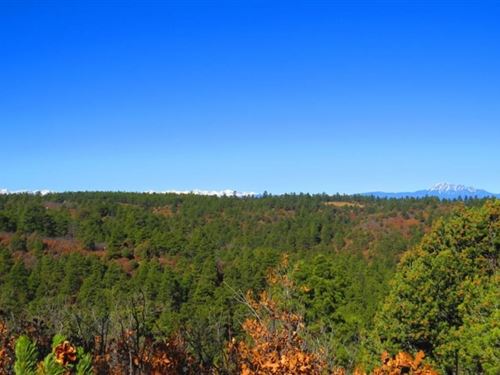 F14 Santa Fe Trail Ranch : Trinidad : Las Animas County : Colorado