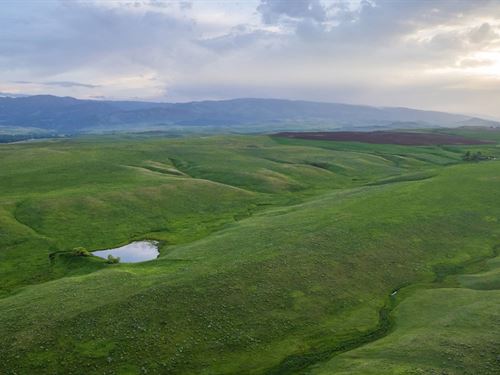 Terry Ranch Stoops Draw Unit : Ranchester : Sheridan County : Wyoming