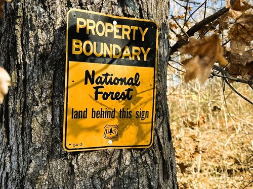 Crowleys Ridge 83 : La Grange : Lee County : Arkansas