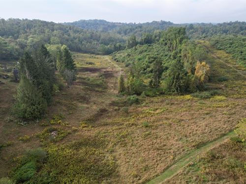 Route 40, Washington County, 87 ac : West Brownsville : Washington County : Pennsylvania