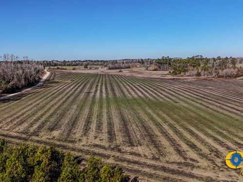 Grist Mill Northwest : Timmonsville : Florence County : South Carolina