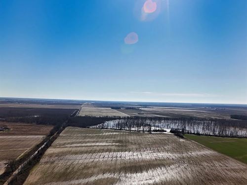 80 Acres In Coahoma County, MS : Coahoma : Mississippi