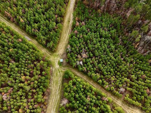 65 Acre Hunting Property And Hom : Jena : La Salle Parish : Louisiana