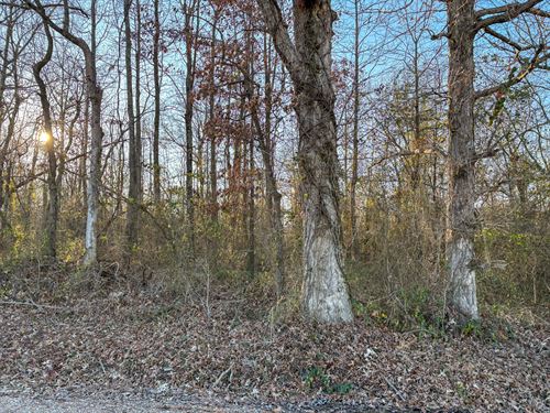 Sand Pond 40 : Naylor : Ripley County : Missouri