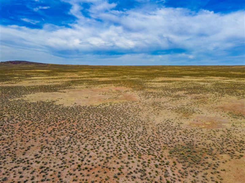 'Jurassic Park' Got Nothing on This : Chambers : Apache County : Arizona
