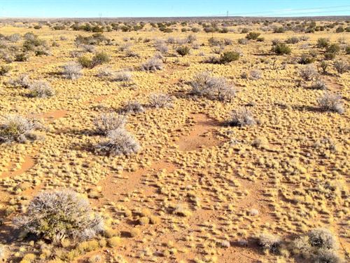 Amazing Chevelon Canyon Ranch Lot : Winslow : Navajo County : Arizona