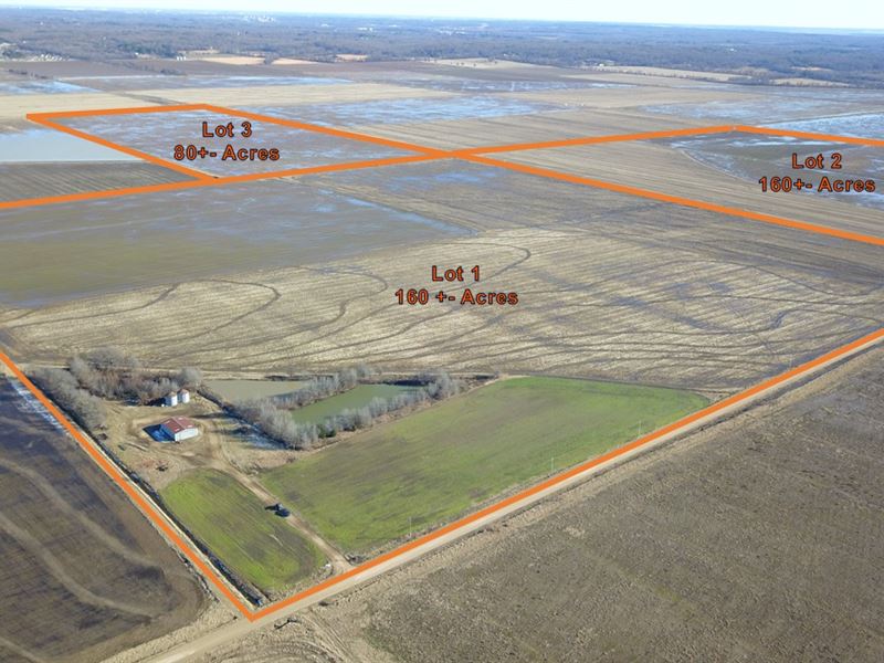 Northeast Arkansas Farm Auction : Bono : Craighead County : Arkansas
