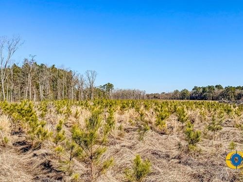 Bulloch Sands 3 : Statesboro : Bulloch County : Georgia