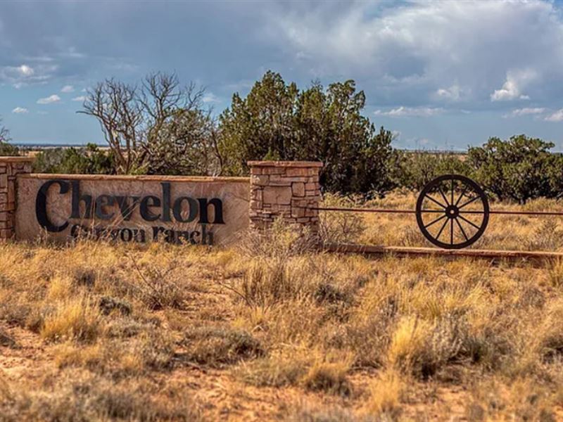 Beautiful Chevelon Canyon Ranch Lot : Winslow : Navajo County : Arizona