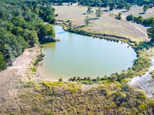 40+ Acres Pretty Hill, Trees & Pond : Thrall : Williamson County : Texas
