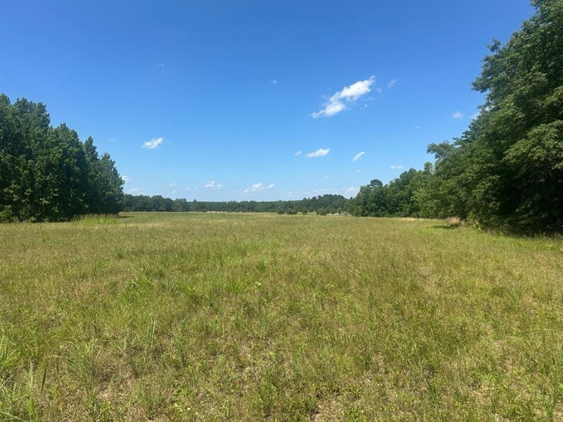 Rocky Knob Farm : Sylvania : Screven County : Georgia