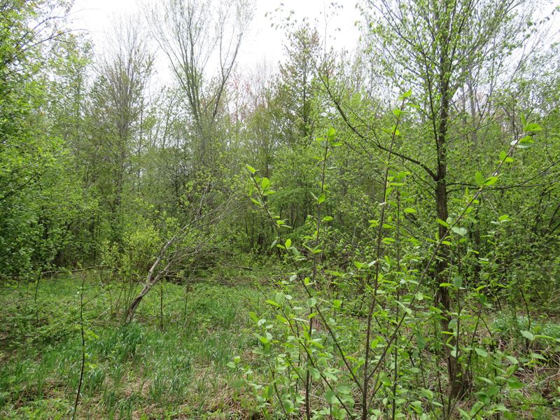 Michigan Recreational Property : Sidnaw : Houghton County : Michigan