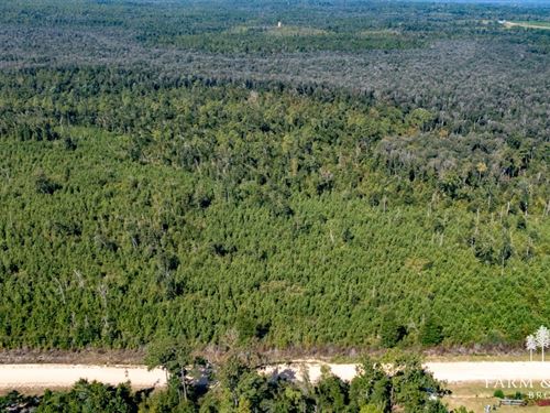 10.6 Ac Homesite Lot Jackson Co FL : Alford : Jackson County : Florida