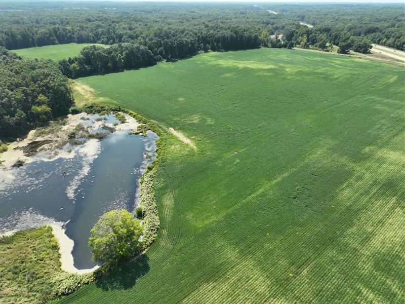 Build, Dream, Pond, Plant 72.61 : Coloma : Berrien County : Michigan
