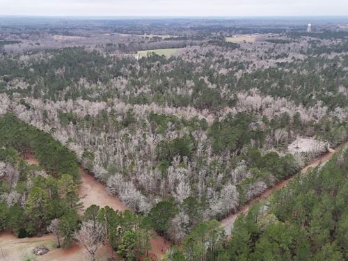 100 Ac, Coffee Co, Jump Creek Tra : Jack : Coffee County : Alabama