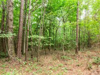 $999 Down, No Credit Check : Lexington : Henderson County : Tennessee