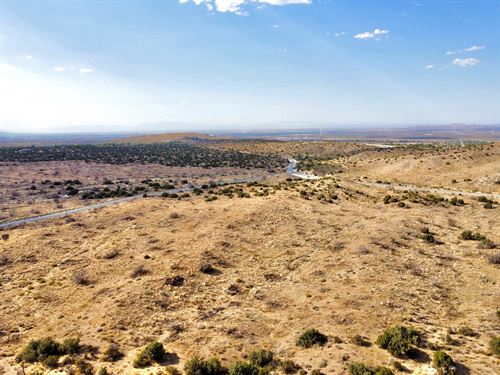 Vast Land, Scenic Views : Juniper Hills : Los Angeles County : California