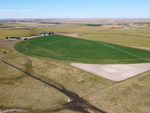 Sedgwick 1/4 Pivot And Pasture : Sedgwick : Colorado