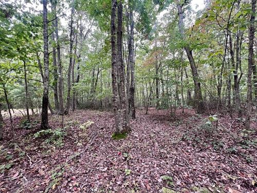 20 Acres of Recre : Sandy Level : Pittsylvania County : Virginia