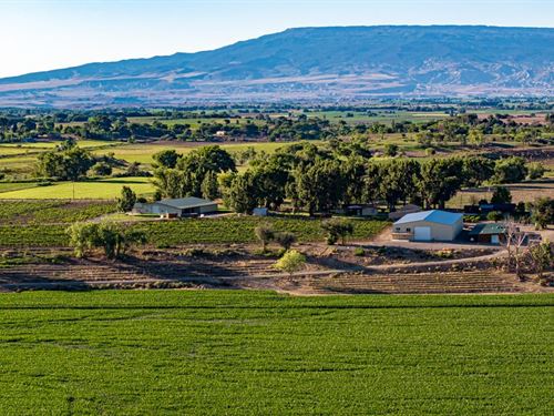 Berkeley Estates Vineyard & Winery : Olathe : Montrose County : Colorado