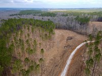 White Plains Rd Mini Farm, 21 : Cragford : Clay County : Alabama