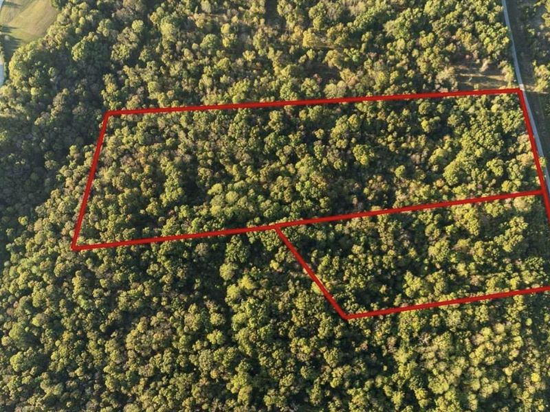 21.63 Wooded Acres Belton, KY : Belton : Muhlenberg County : Kentucky
