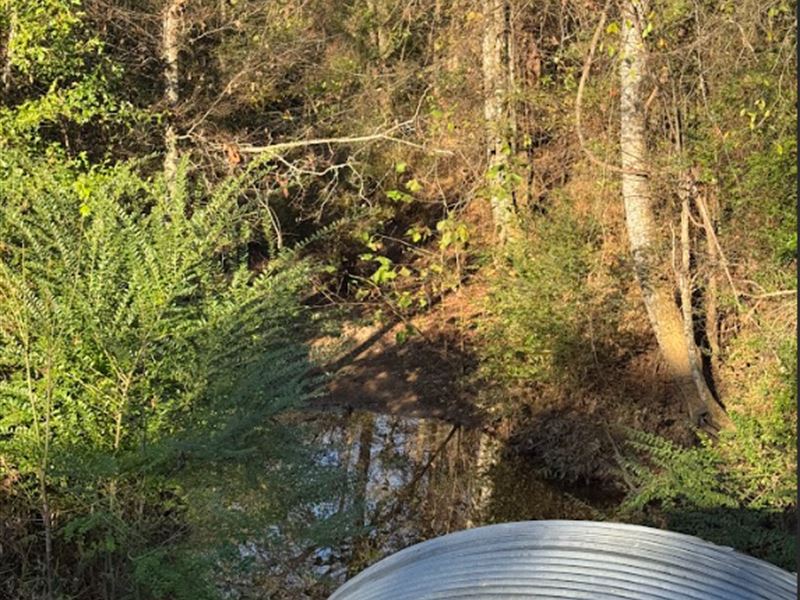 10 Beautiful Acres Atkins, AR : Atkins : Pope County : Arkansas