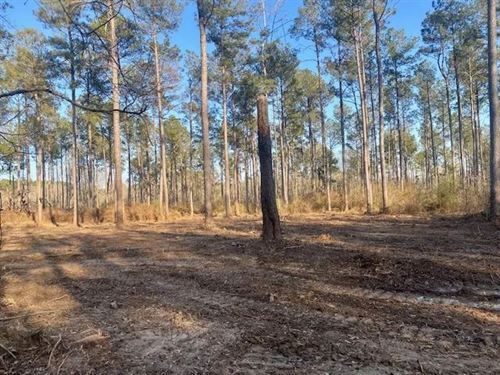 10 Acres, Tylertown, MS : Tylertown : Walthall County : Mississippi
