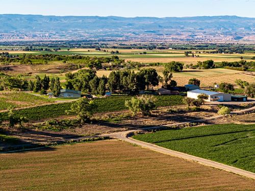 Berkeley Estates Winery & Farm Land : Olathe : Montrose County : Colorado