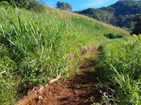 Beautiful Property with Views : Costa Rica