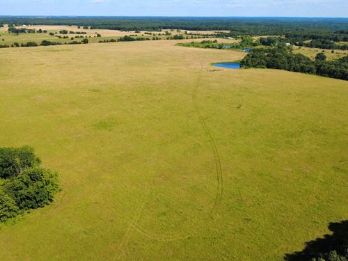 Gibson Pasture 168 : Weaubleau : Saint Clair County : Missouri