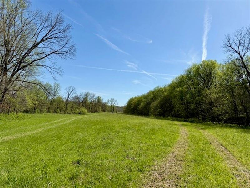66 Acres, Bottom Ground, Fenced, El : Ava : Douglas County : Missouri
