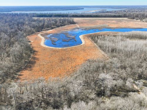The Confluence 239 : Tichnor : Arkansas County : Arkansas