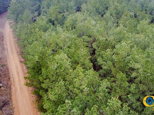 Dallas 170 : Fordyce : Dallas County : Arkansas