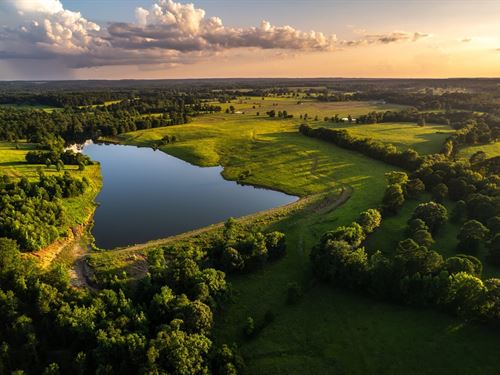 482.41 Acres in Gilmer, Texas : Gilmer : Upshur County : Texas