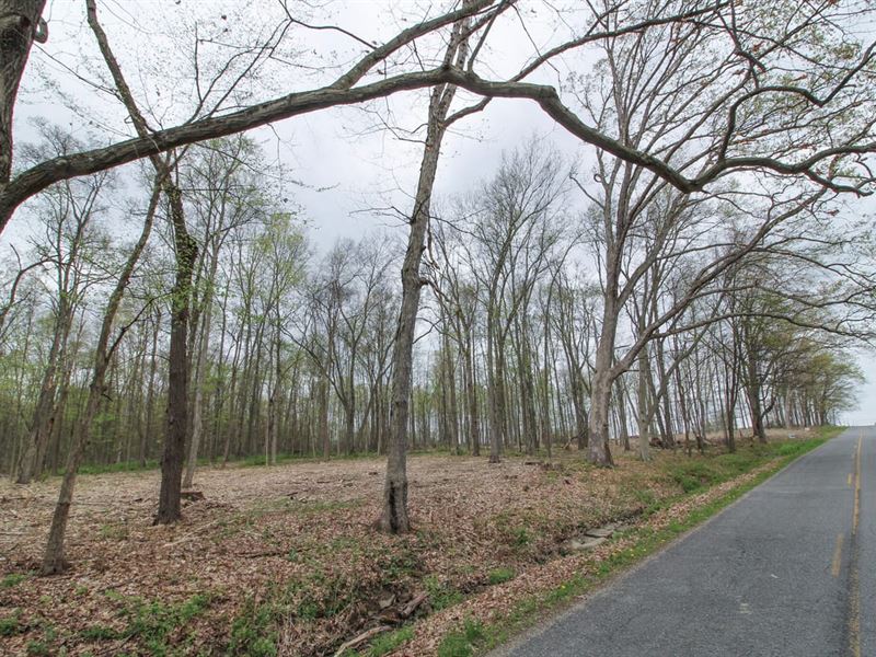 Wayland Rd, 13 Acres, Portage Cou : Tallmadge : Portage County : Ohio